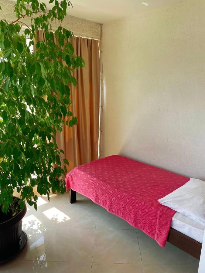 Apartmani Mina Herceg Novi Zewnętrze zdjęcie